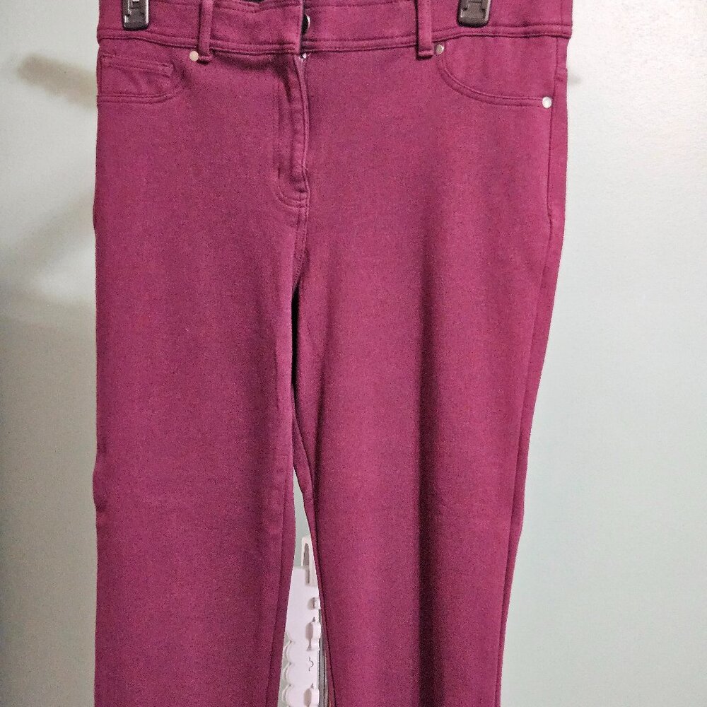 Style & Co Skinny Leg Knit Pants